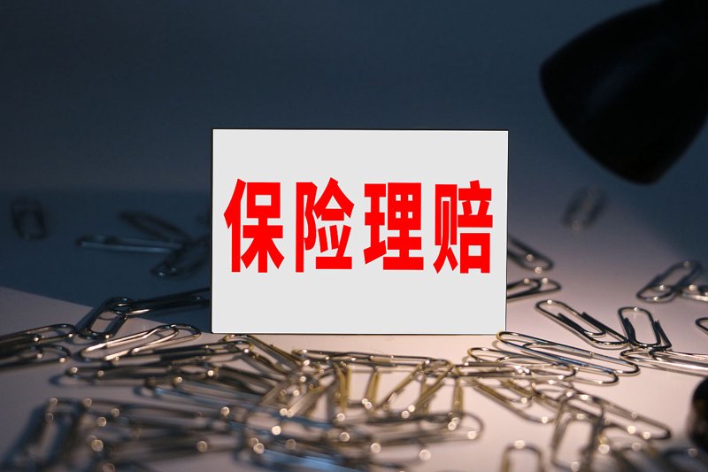 河池保险行业动态：探索保险保障新思路
